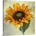 thumbnail image 1 of Great BIG Canvas | "Lush Vintage Florals I" Canvas Wall Art - 24x24, 1 of 2