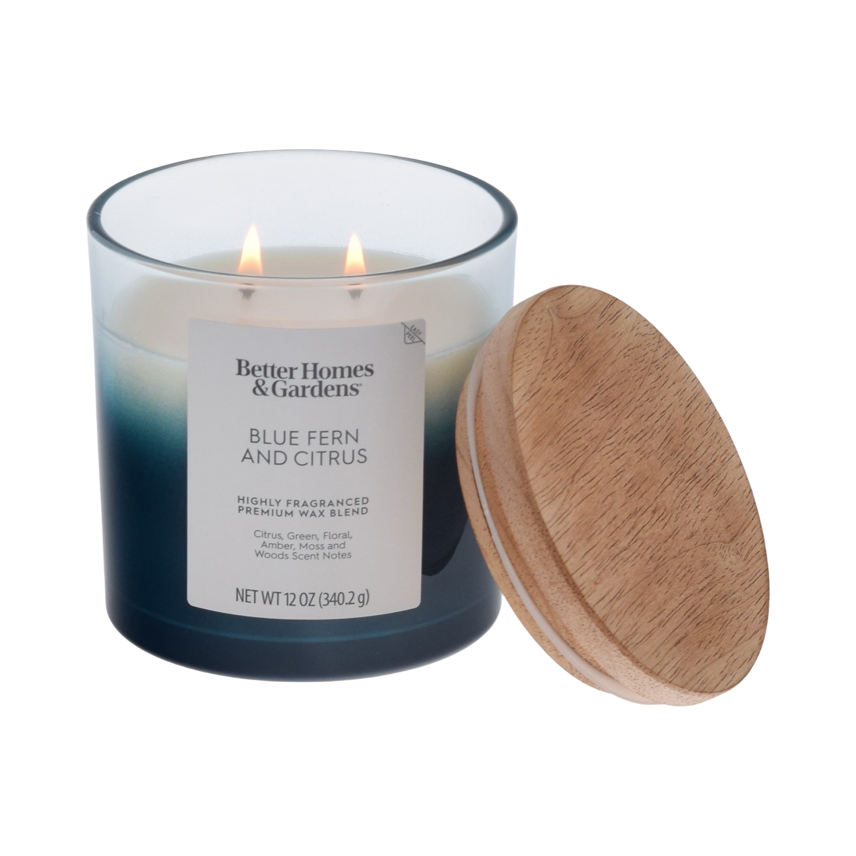 (4 pack) Better Homes and Gardens Blue Fern and Citrus Scented 2-Wick Ombre Jar Candle 12oz.
