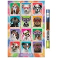 thumbnail image 1 of Keith Kimberlin - Chiots - Lunettes de soleil, 1 of 4