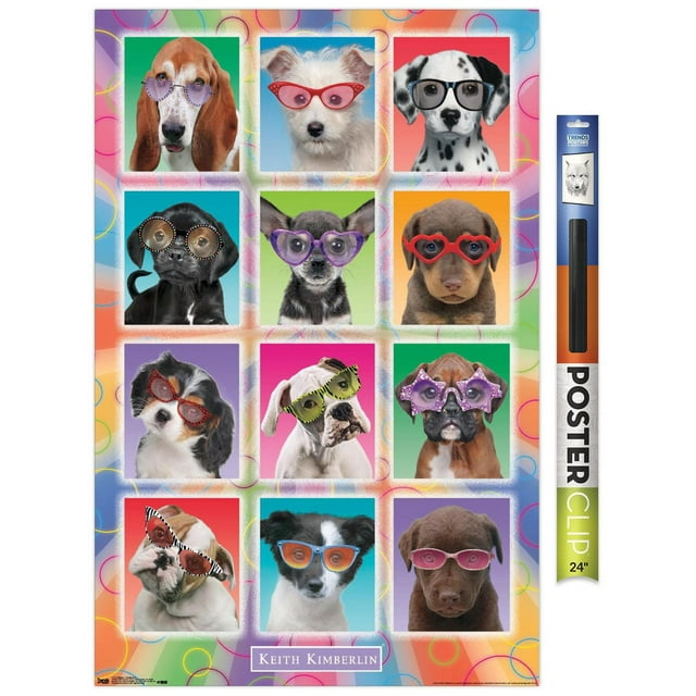 Keith Kimberlin - Chiots - Lunettes de soleil