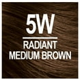 thumbnail image 2 of Naturtint 5W Radiant Medium Brown Permanent Hair Color, 1 Pack (Packaging May Vary), 2 of 8