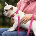 thumbnail image 2 of ZDM Soft Leather Dog Collar and Leash Set, Comfy & Stylish Leather Dog Leash and Collar Set, Bright & Solid Hot Pink Dog Collar with Quick Release Metal Buckle for Small Medium Large Dogs, 2 of 7