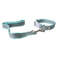 thumbnail image 4 of Juego de correa con collar Infanti Pets turquesa mediana, 4 of 5