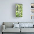 thumbnail image 2 of Mandy Budan 'Hide And Seek' Canvas Art, 2 of 4