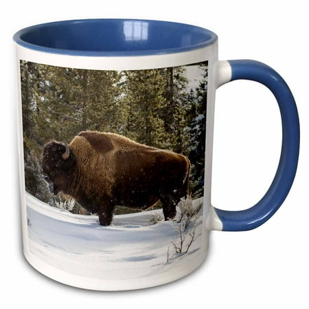 3dRose USA, Wyoming, Yellowstone National Park. Bison standing in snow. - Two Tone Blue Mug, (Best Place To See Bison In Yellowstone)