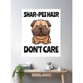 thumbnail image 2 of Shar Pei Hair Don'T Care Poster Wall Art, Modern Wall Decor, 12x18 UNFRAMED, 2 of 3