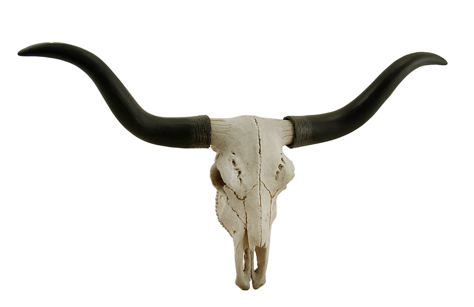STEER BULL skull,BLACK POWDER, CARVING HORNS REAL COW HORN 8" X 16" ONE pair 