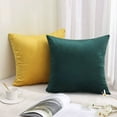 thumbnail image 4 of Cterwk 1 Pack Velvet Throw Pillow Cover Soft Square Cushion Case Modern Decorative Pillowcase for Couch Bed Sofa Chair, 24" x 24", 4 of 8