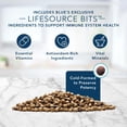 thumbnail image 5 of Blue Buffalo Tastefuls Sensitive Stomach Chicken Recipe Adult Dry Cat Food, 5 lb Bag (Pack of 10), 5 of 9