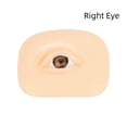 thumbnail image 3 of Herramienta de entrenamiento de sombras de ojos, simulación de modelos de cosméticos faciales, accesorio de práctica para principiantes, Ayudas para vestirse con gancho de botón Lado derecho Qarigey CE014517-02, 3 of 6