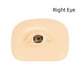 thumbnail image 5 of Herramienta de entrenamiento de sombras de ojos, simulación de modelos de cosméticos faciales, accesorio de práctica para principiantes, Ayudas para vestirse con gancho de botón Lado derecho Seitruly CE014517-02, 5 of 6