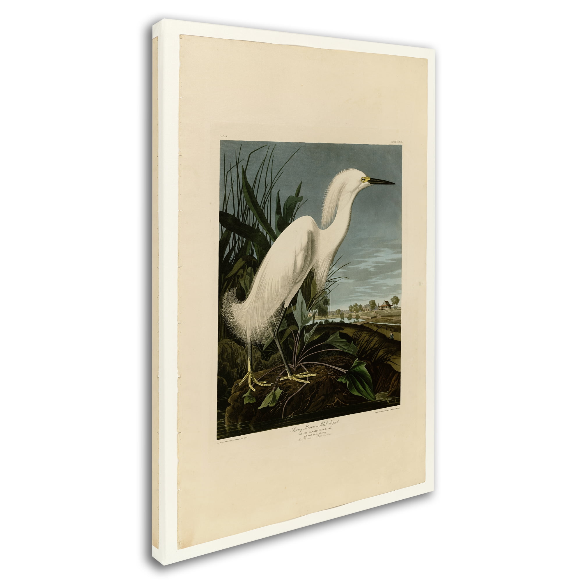 Trademark Fine Art 'Snowy Heron' Canvas Art by John James Audobon