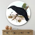 thumbnail image 2 of Designart 'Ancient Australian Birds VI' Traditional Circle Metal Wall Art 29x29 - Disc of 29, 2 of 5