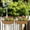 Multicolour, variant on Savings! Gspmoly 3Pcs Half Round Flower Pot Padding Fabric Padding Reusable Garden Flower Basket Padding Replacement Padding Savings