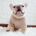 thumbnail image 6 of Warm Pet Pullover Sweater Easy-Wearing High Collar Dog Sweater – Solid Color Pet Accessory, 6 of 8