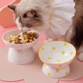 thumbnail image 3 of 3 de Cerámica para Gatos de 200 Ml, Plato Inclinado para Gatos Domésticos, Inclinación de 15 degree, ángulo Estable Yinane Comedero para gatos, 3 of 7