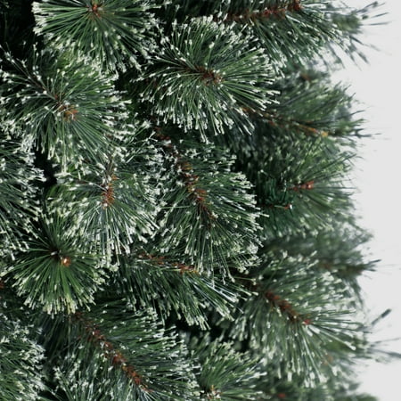 branford spruce christmas tree