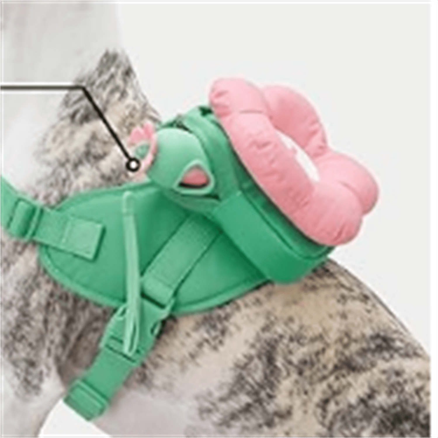 Dog Harness, Leash and Collar Set, No Pull Dog Vest Harness for Walking and Training, Adjustable, Easy Control and Soft Padded Pet Harness and Backpack for Small Medium Large Dogs, L