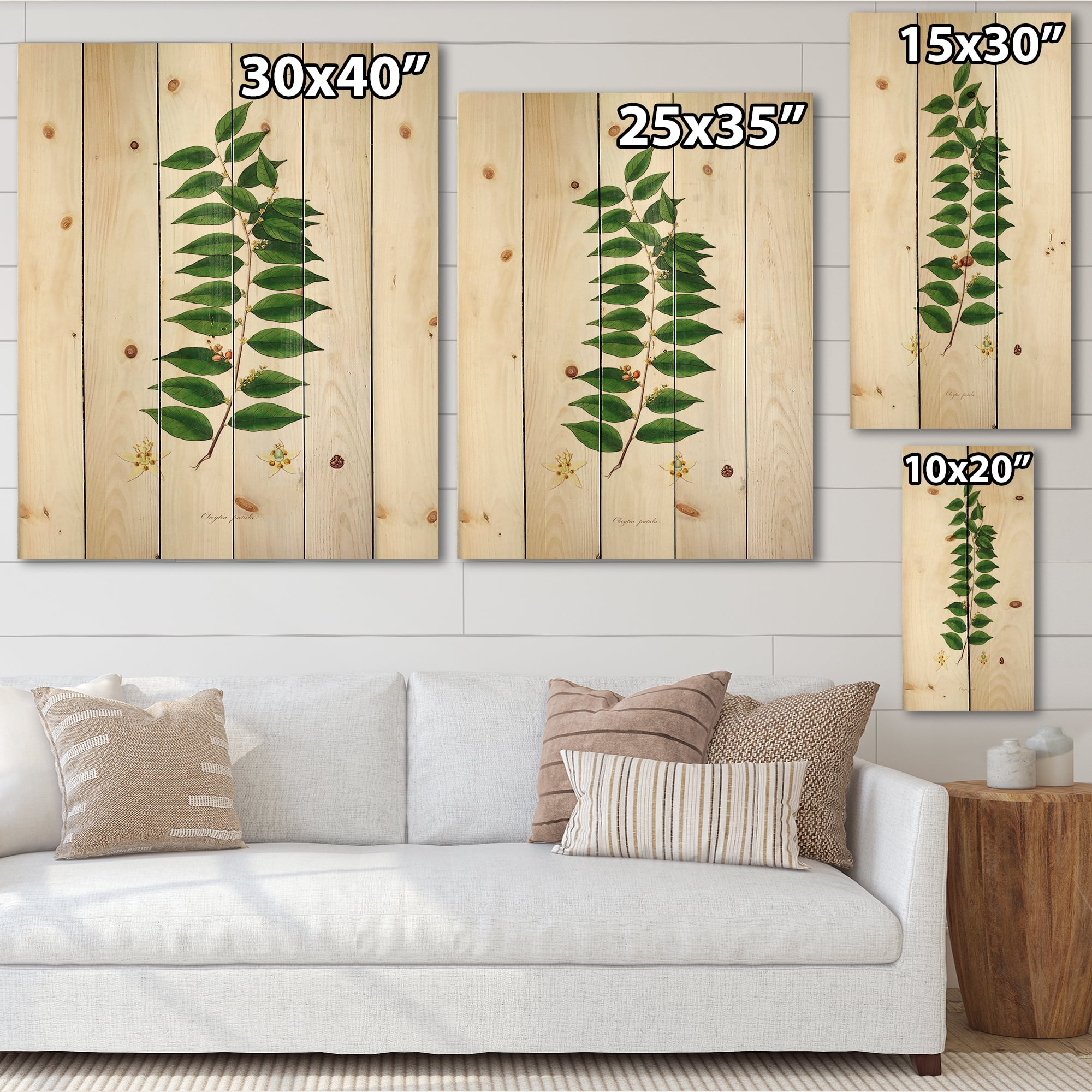 Designart 'Ancient London Plants VI' Farmhouse Print on Natural Pine Wood
