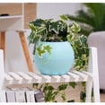 thumbnail image 3 of De Plástico Con Riego Automático Baoblaze Jardineras de riego automático Azul, 3 of 5