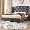 VanAcc Queen Size Velvet Low Profile Platform Beds Tufted Upholstered Platform Bed Frame Raised Wingback Headboard /No Box Spring Needed/Easy Assembly
