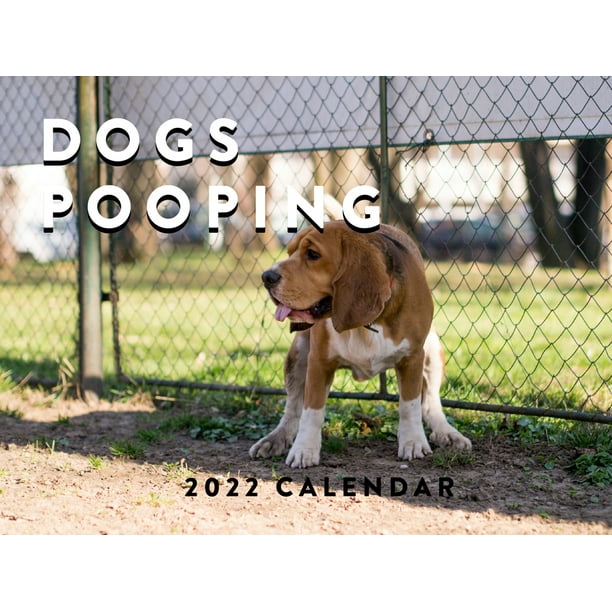 Funny Dog Pooping Calendar 2023 Monthly Wall Hanging Calendar Animal