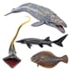thumbnail image 2 of Figuras de animales de la vida marina profunda de simulación, modelo de animales del océano profundo de PVC, regalo perfecto para niños, 4 Uds., 2 of 8