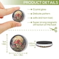 thumbnail image 2 of 12 Pcs Glass Refrigerator Magnet Magnetic Fridge Sticker,Decor for Kitchen,Whiteboard, Cabinet,Round Design For Mushroom, 2 of 4