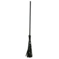 thumbnail image 1 of Sparkly Witch Broom, 1 of 2