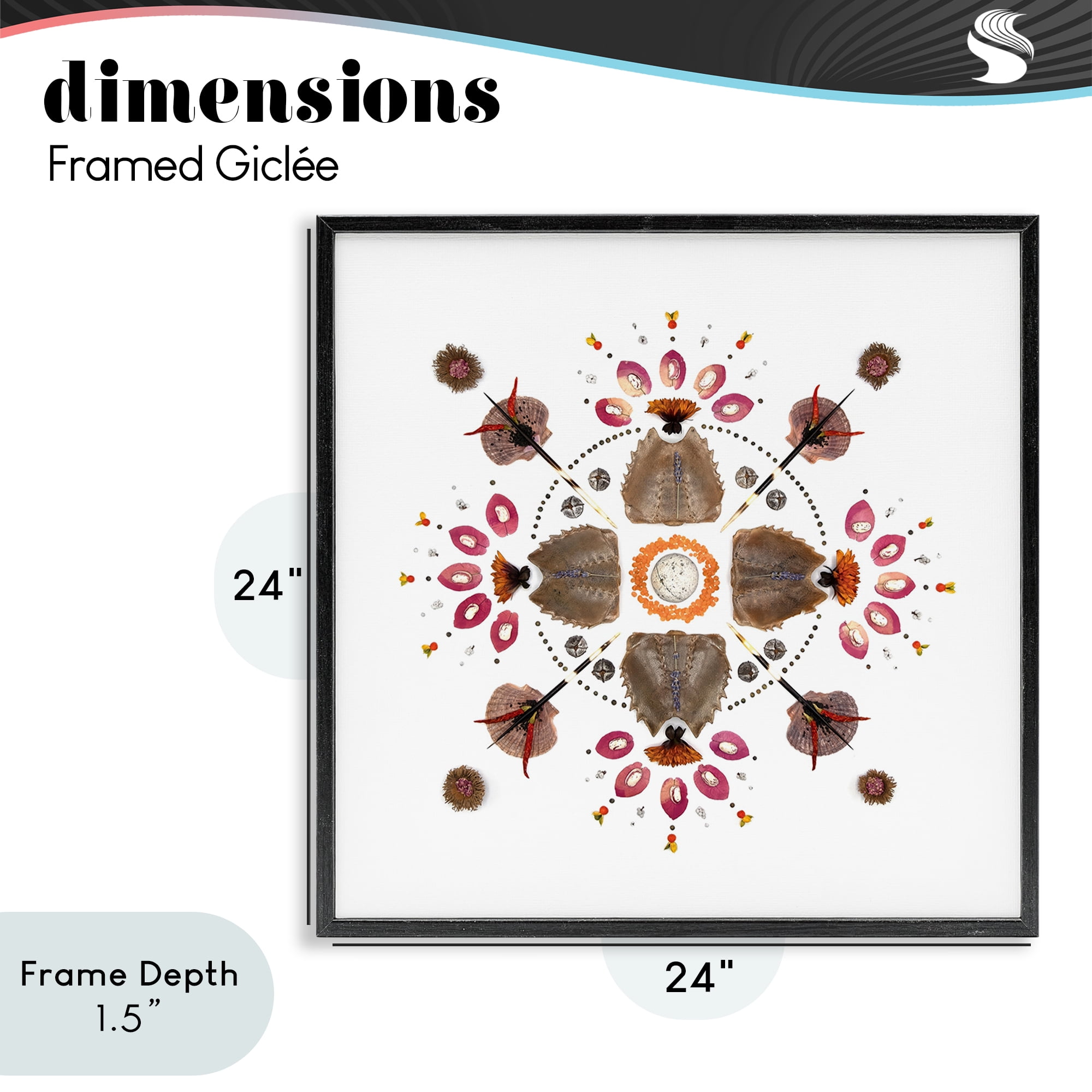 Stupell Industries Symmetrical Nautical Collection Black Framed Giclee Art, design by Beth Adoette