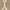 Brown/Beige, variant on SAFAVIEH Courtyard Linnet Geometric Indoor/Outdoor Area Rug, Brown/Beige, 5'3" x 7'7"