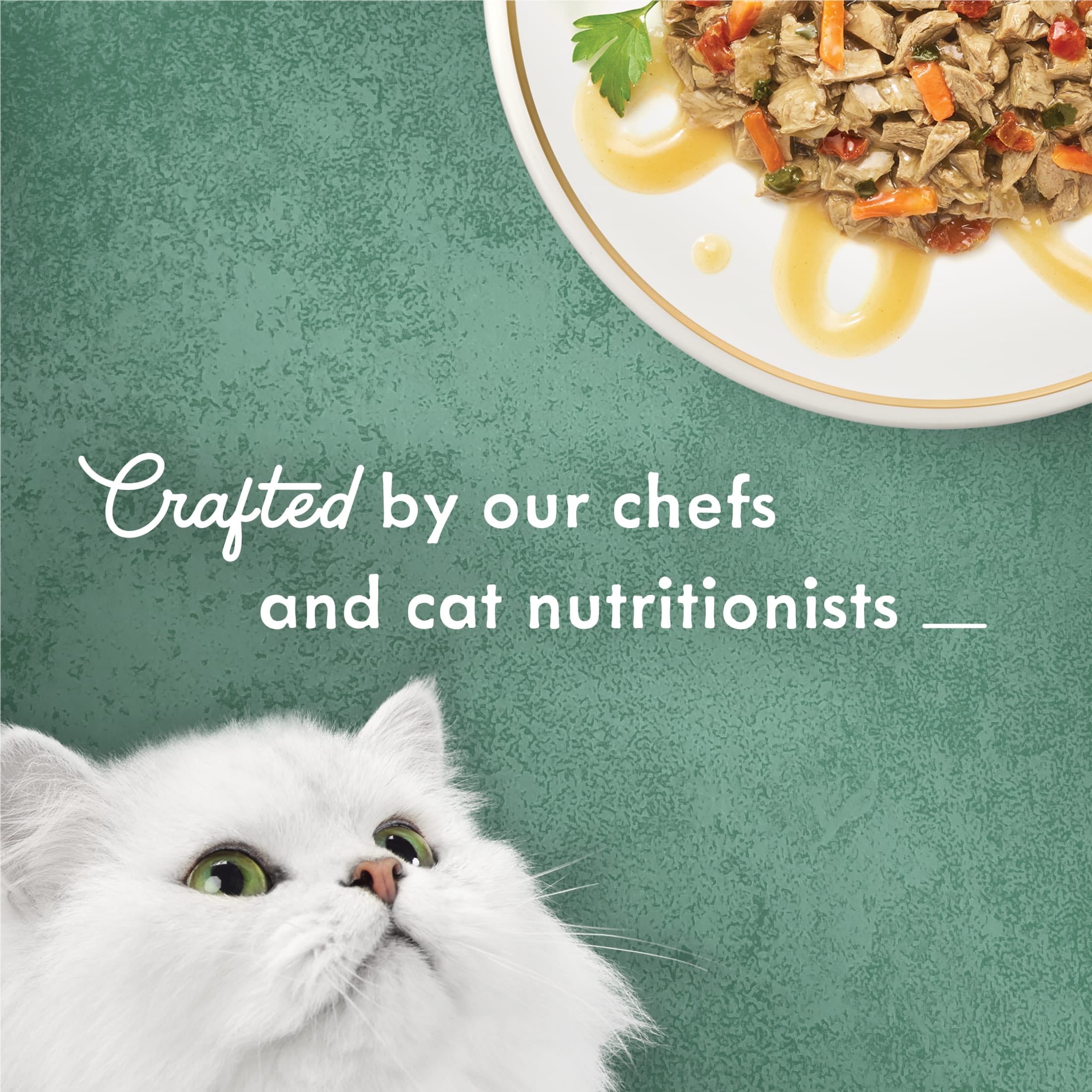 Purina Fancy Feast Medleys Kitten Food, Wet Cat Food, Turkey Primavera, 3 oz Can, 24 Pack