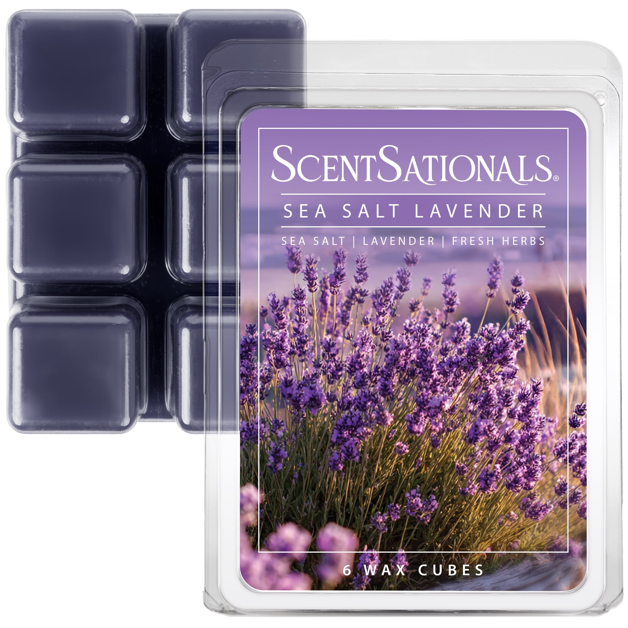 (5 pack) Sea Salt Lavender Scented Wax Melts, ScentSationals, 2.5 oz