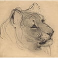 thumbnail image 3 of Bernard Willem Wierink 20x20 Black Modern Framed Museum Art Print Titled - Kop of a Lioness (1866), 3 of 5