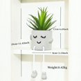 thumbnail image 2 of Plantas suculentas artificiales Linda pierna colgante Oso Falso Suculenta Planta en maceta Decoración para el hogar Oficina Dormitorio Sala de estar Escritorio Estantería Juego de 1, 2 of 5