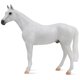 thumbnail image 4 of Caballo Breyer de la Serie Freedom Pura Sangre Gris con Pulgas, 4 of 5