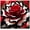 C, variant on Hybrid Perennial - Rose Roots Planting - Low Maintenance - Ideal for Garden Borders, Plant Hangers