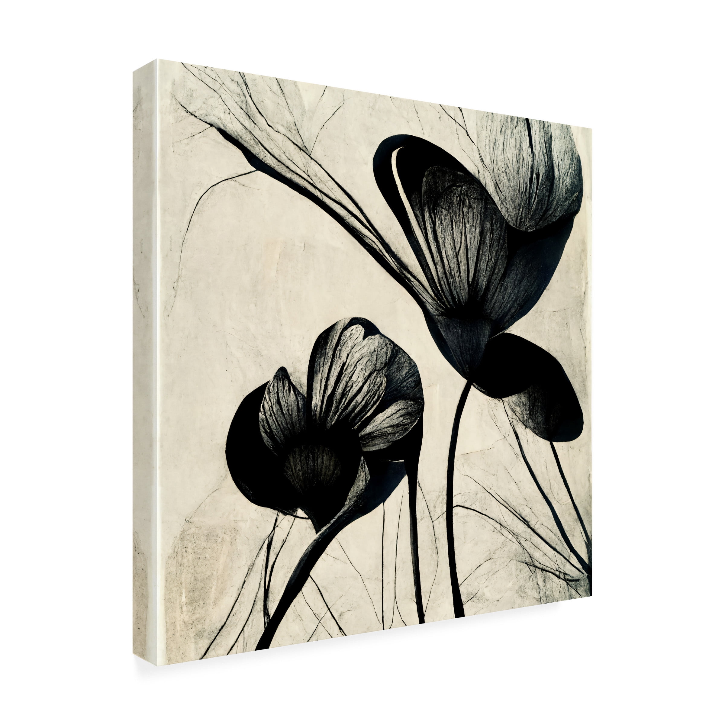 Canvas Wall Art - Ray Heere 'Flowers Black White 4' Wall Art for Living Room, Bedroom, or Office Décor by Trademark Fine Art - 18 x 18 Inches