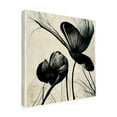 thumbnail image 4 of Canvas Wall Art - Ray Heere 'Flowers Black White 4' Wall Art for Living Room, Bedroom, or Office DÃ©cor by Trademark Fine Art - 24 x 24 Inches, 4 of 4
