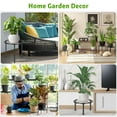 thumbnail image 3 of 5-Pack Metal Plant Stand for Indoor Outdoor, Heavy Duty Flower Pot Stands for Multiple Plant, Anti-Rust Iron Plant Pot Shelf for Patio Balcony Garden Home Decor, 3 of 7