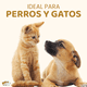thumbnail image 3 of Escalera para Perros plegable MascoAmigo | Rampa con Escalones Antideslizantes | Uso Interior y Exterior | Acceso a Sofá, Cama o Auto | Polipropileno Resistente | Portátil y Compacta | Café, 3 of 8