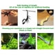 thumbnail image 3 of Paquete de 2 pinzas largas de acero inoxidable resistentes de 15 pulgadas, diseño curvo y recto con puntas de agarre antideslizantes, pinzas grandes para alimentación de reptiles, mantenimiento de, 3 of 5