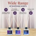 thumbnail image 2 of Folkulture Reed Diffuser or Aroma Diffusers | Set of 3 (50 ml) Oil Diffuser for Home or Bathroom Accessories Set | Aromatherapy Diffuser with Sticks | Oil Diifusers with Diffuser Sticks | (Sleep), 2 of 8