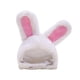 thumbnail image 2 of Gorro Ajustable De Lana De Algodón Cómodo Cálido Lindo Conejo Blanco Para Mascota Guardurnaity PT001289-00, 2 of 6