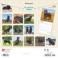 thumbnail image 2 of Rottweilers 2025 12 X 24 Inch Monthly Square Wall Calendar Plastic-Free (Wall), 2 of 9