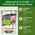 thumbnail image 2 of 13-13-13 Slow Release Granular Fertilizer – All Purpose Plant Food 13 13 13 for Outdoor Grass, Vegetables, Roses, Flowers, Shrubs, Trees. Lawns, Gardens, Potted Plants (4 quarts), 2 of 14