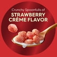 thumbnail image 4 of Kellogg's Special K Plus Strawberry Creme High Protein Zero Added Sugar Cereal Box, 8.1 oz, 4 of 13