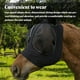 thumbnail image 3 of Worallymy Riding 3D Face Guard Anti-bug Control de plagas Eyes Ears Protection Malla Escudo Blindaje Estiramiento Poliamida Decoración Suministros para mascotas Negro Worallymy JD735895297, 3 of 7