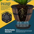thumbnail image 4 of Whiskey Barrel Planters Lifemaster 25cm Durable Plastic x20, 4 of 7