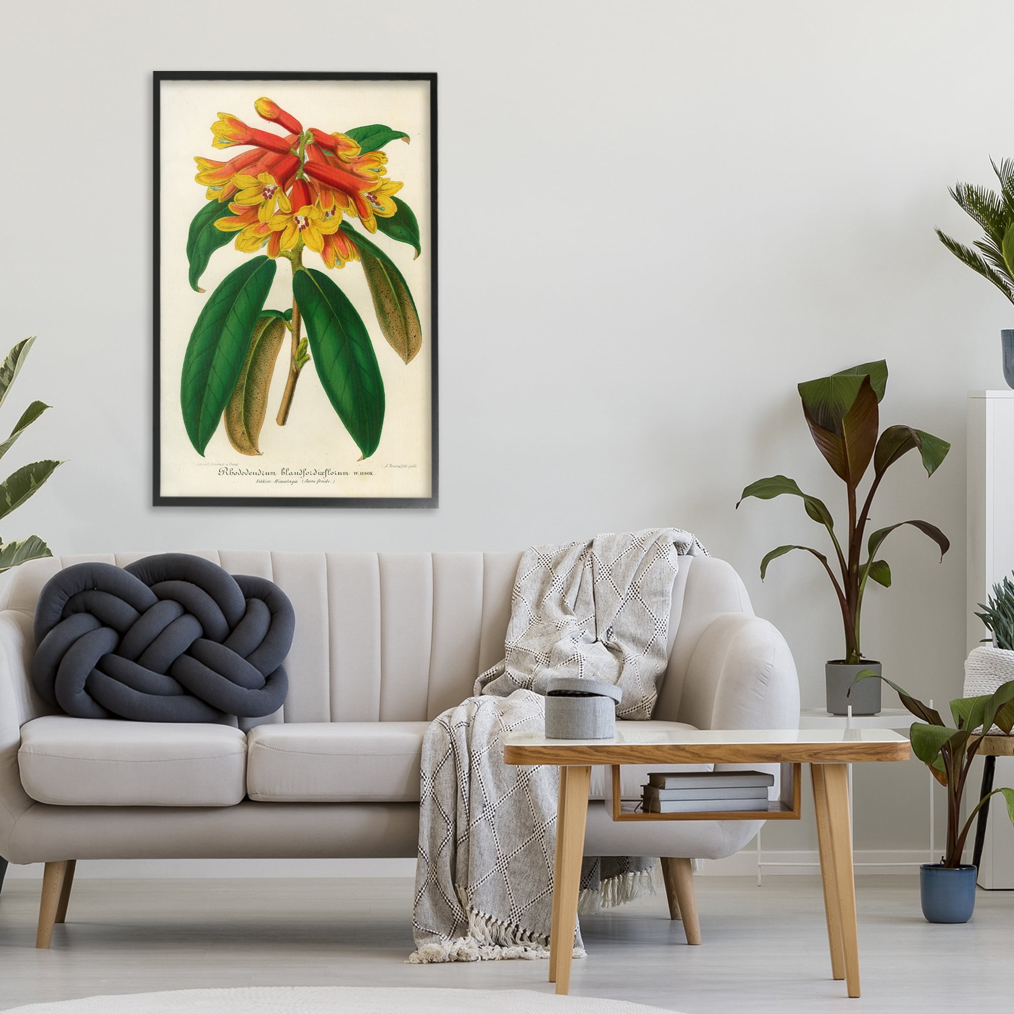 Stupell Industries Orange Yellow Rhododendron Black Framed Giclee Art, design by Print Collection